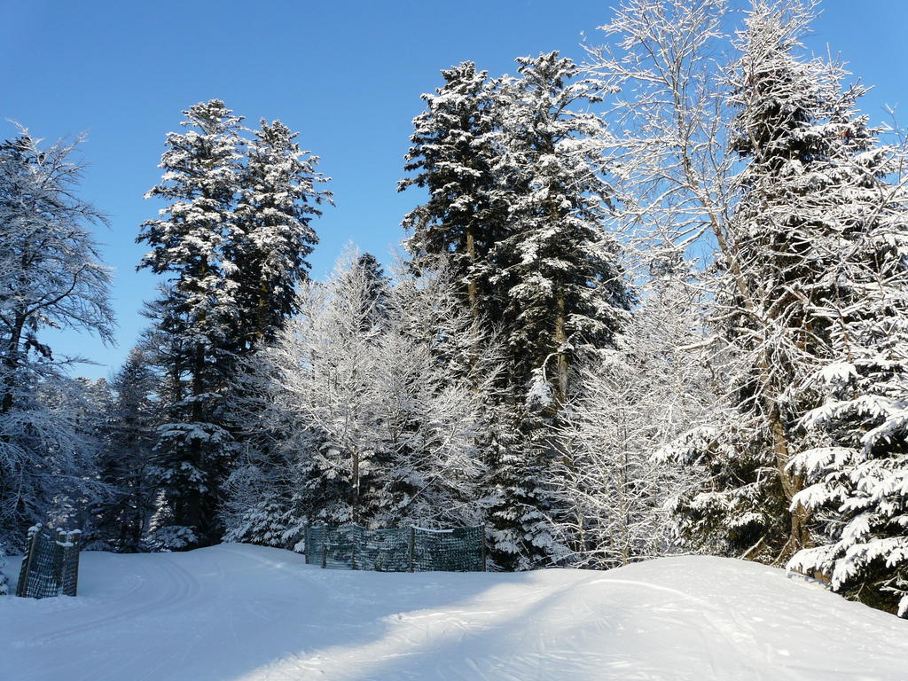 Chalet Les Sapins Argentes Gérardmer Værelse billede