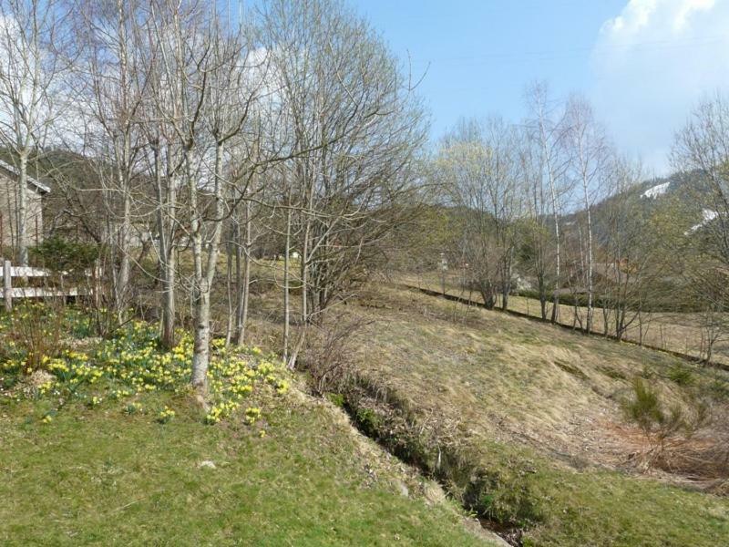 Chalet Les Sapins Argentes Gérardmer Værelse billede