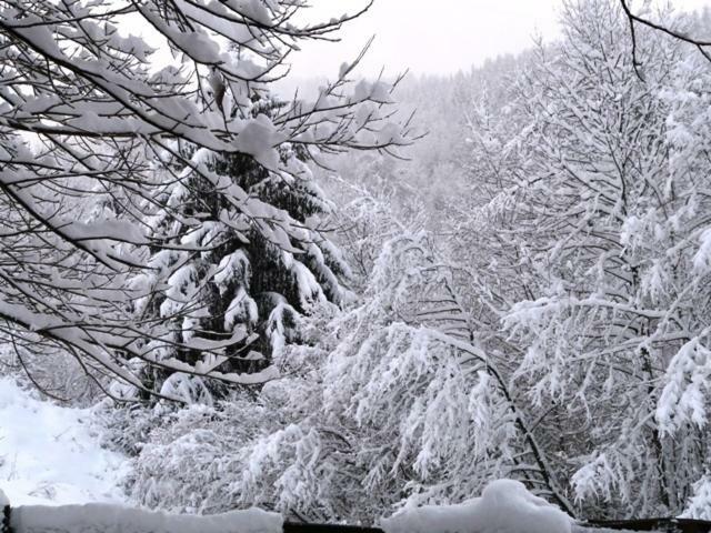 Chalet Les Sapins Argentes Gérardmer Værelse billede